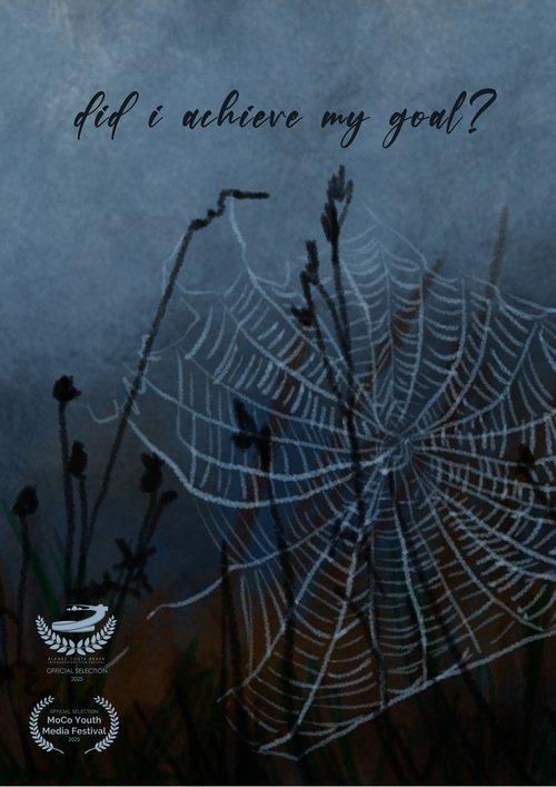 Did I Achieve My Goal?