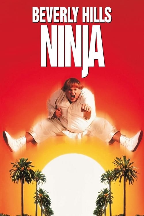 Beverly Hills Ninja Movie Poster Image