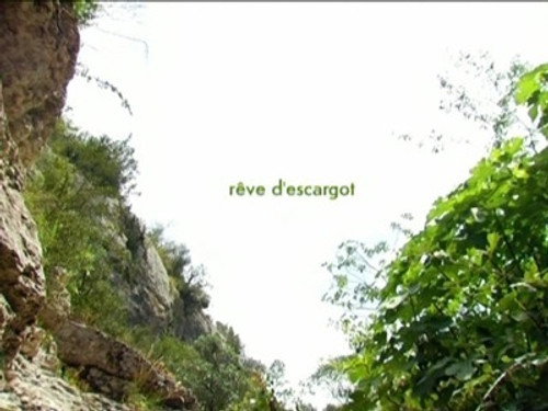 Image Rêve d’escargot