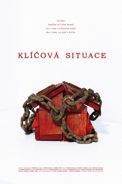 Klíčová situace poster
