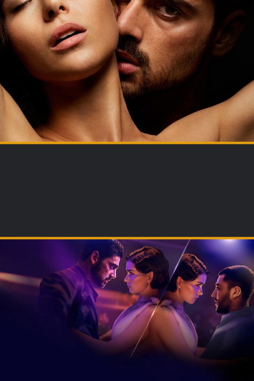 Pòster de 365 Days Collection