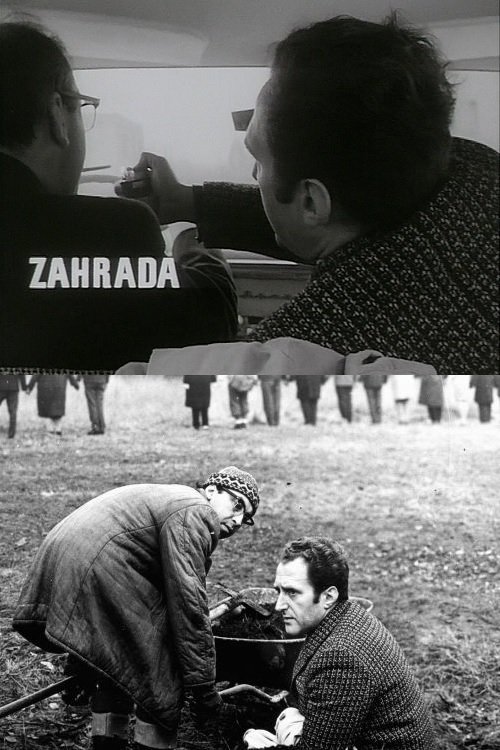 Ver Zahrada Online