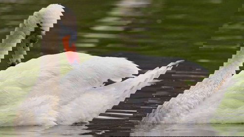 Image de l'épisode 2