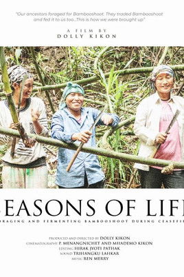 Seasons of Life poster