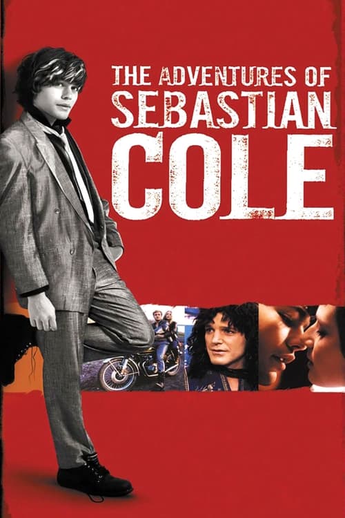 The Adventures of Sebastian Cole poster