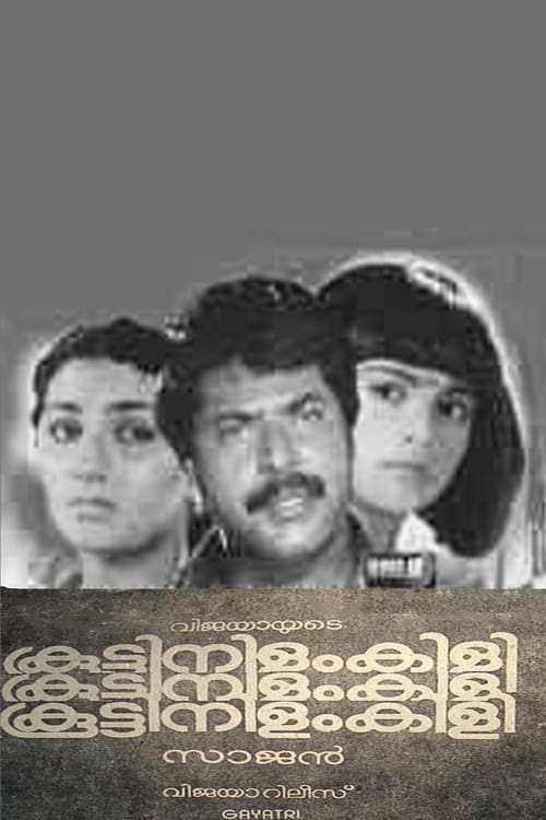 കൂട്ടിനിളംകിളി (1984)