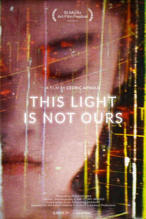 This Light Is Not Ours poster