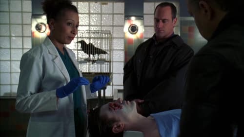 Law & Order: Special Victims Unit, S08E17 - (2007)