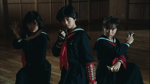 Sukeban Deka III: Romance of the Ninja Girls