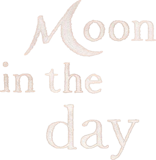 Moon in the Day