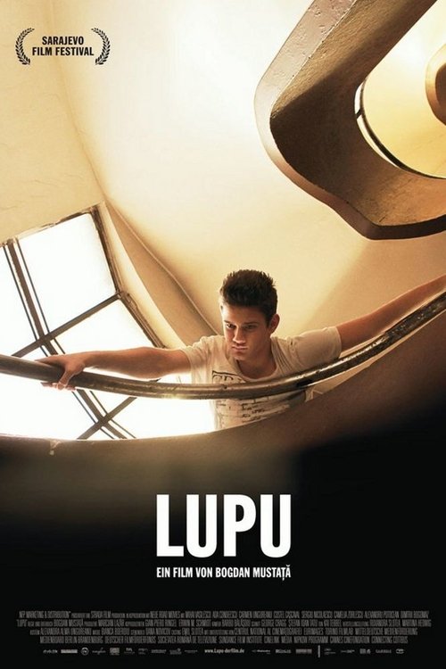 Lupu 2013 Lupu 2013