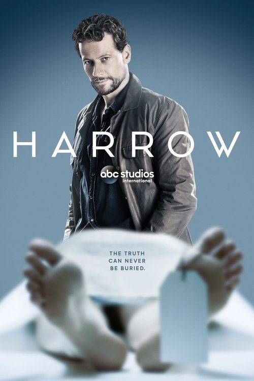Ver temporada 1 de Harrow Póster de la temporada 1 de la serie Harrow