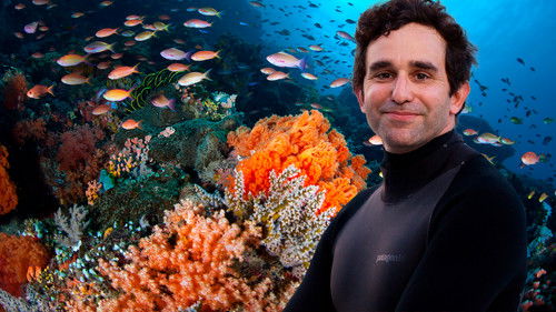 探险家的工作日常