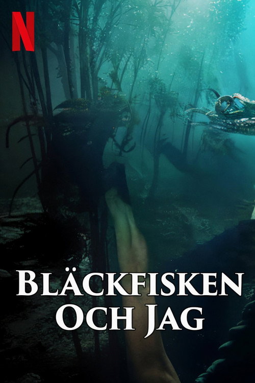 Bläckfisken och jag