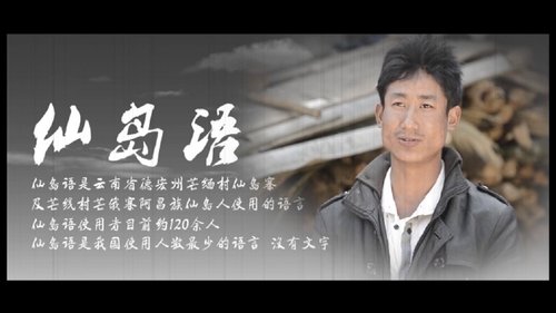 云南少数民族濒危语言文字的探寻及保护：阿昌族仙岛语