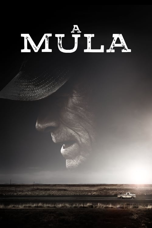 Correio de Droga movie poster player