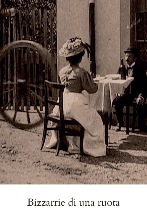 Bizzarrie di una ruota