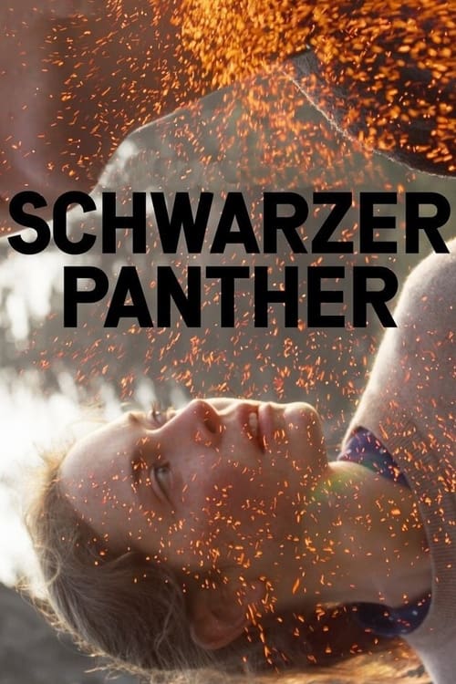 Schwarzer Panther (2013)