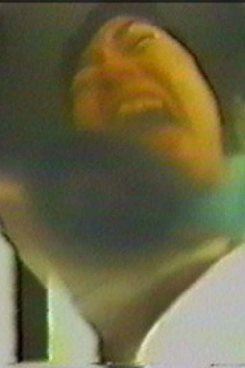 Screaming Videotape #2 (1996) poster