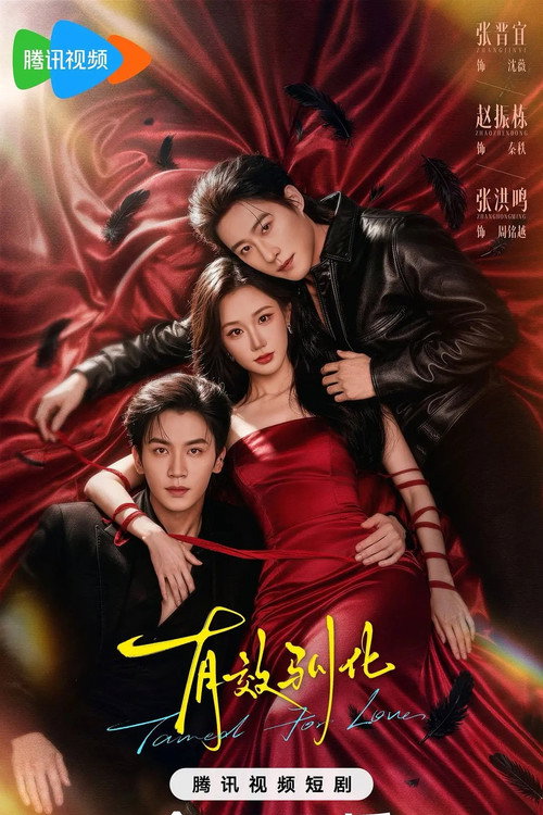 Affiche de 有效驯化