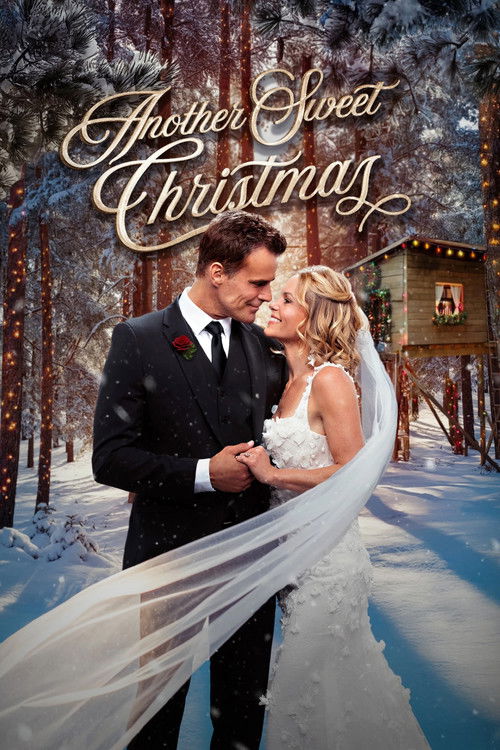 Another Sweet Christmas film afişi