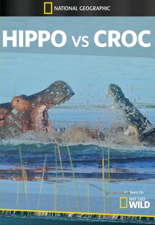 Hippo vs Croc movie poster player