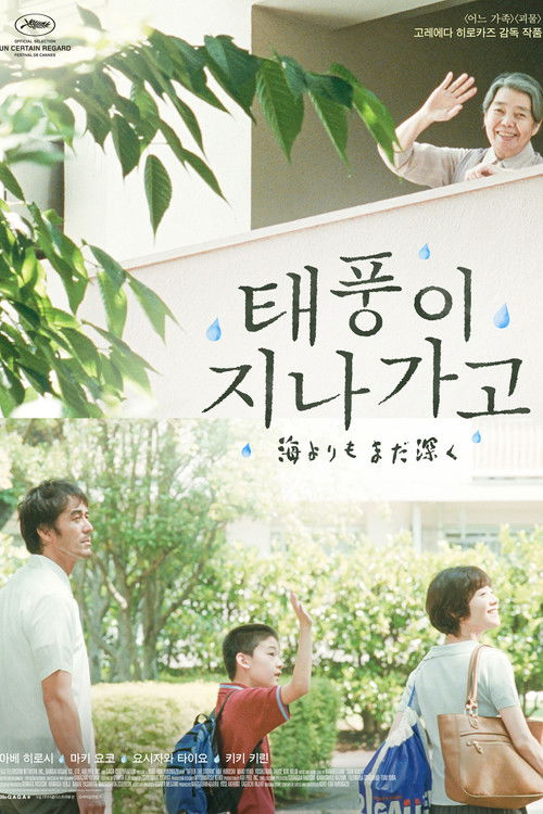 After the Storm poster