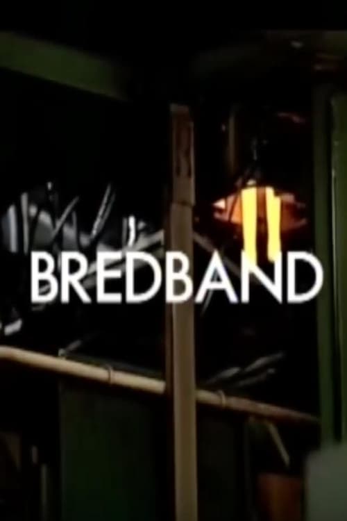 Bredband 2004