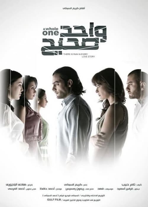 Poster واحد صحيح 2011