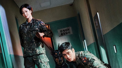 Military Prosecutor Doberman