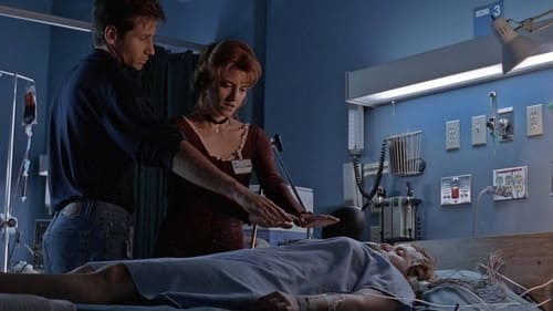 The X-Files: 2×8