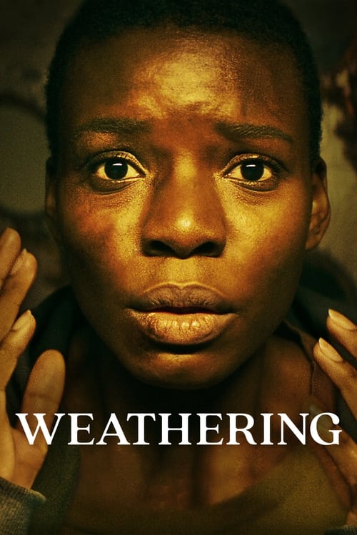 Poster de Weathering