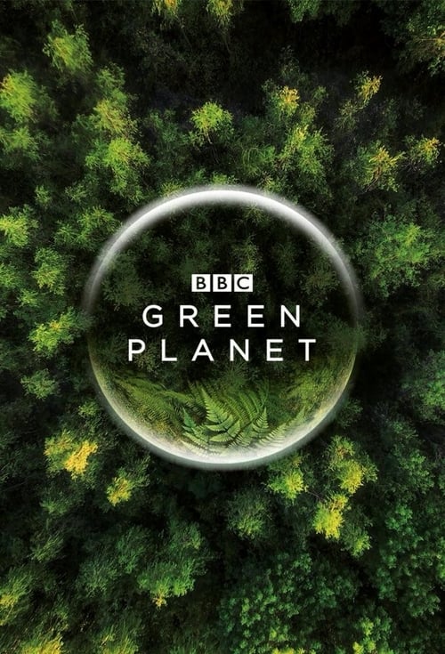 Image The Green Planet – Planeta Verde (2022)