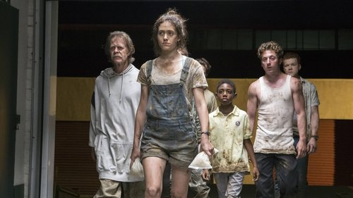 Shameless (US): 8×3