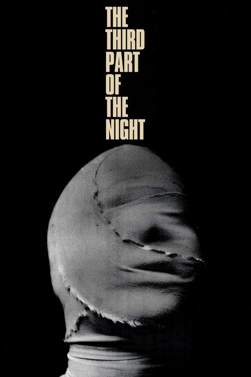 Poster 15
