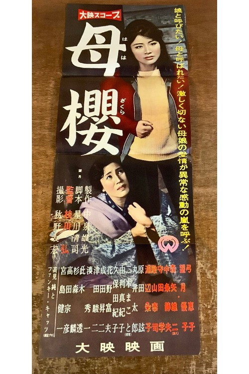 母櫻
