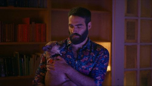 The Summer with Carmen