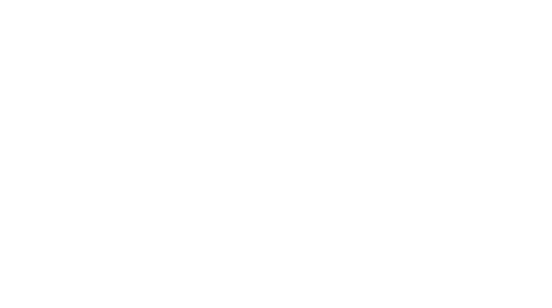 Davy Crockett, King of the Wild Frontier