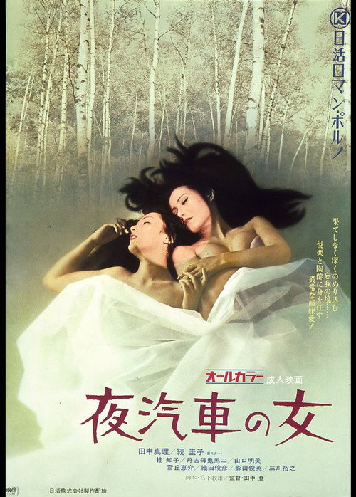 Woman on the Night Train poster