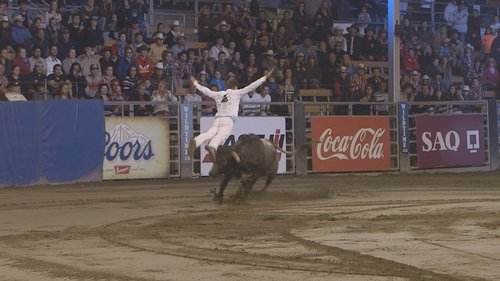 Bull Jumping image 5
