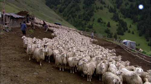 Samucha, un dernier été dans le Caucase