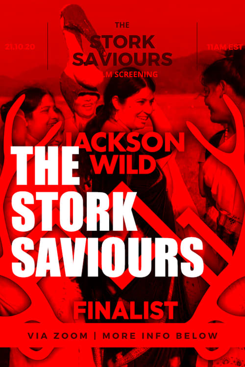 Poster The Stork Saviours 2019