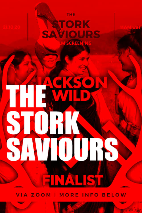 The Stork Saviours (2019)