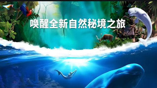 秘境之旅 - Season 1 Backdrop Blur