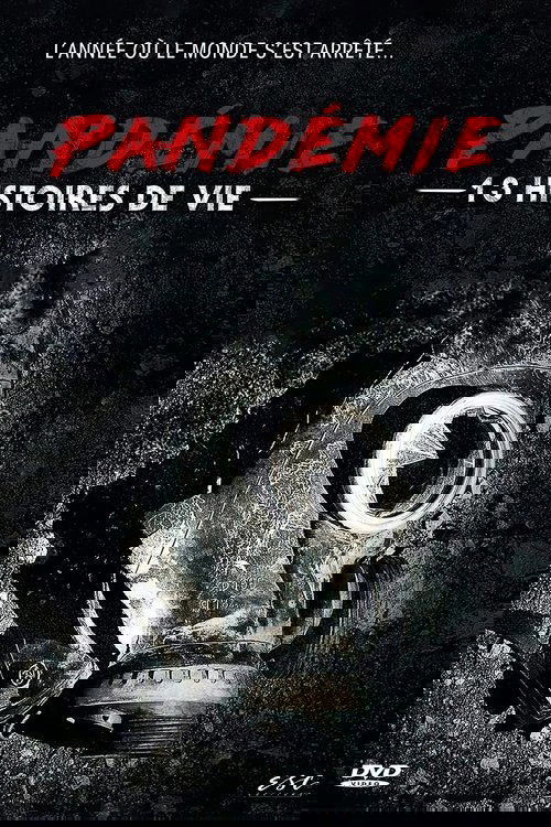 Pandémie : 13 histoires de vie Poster
