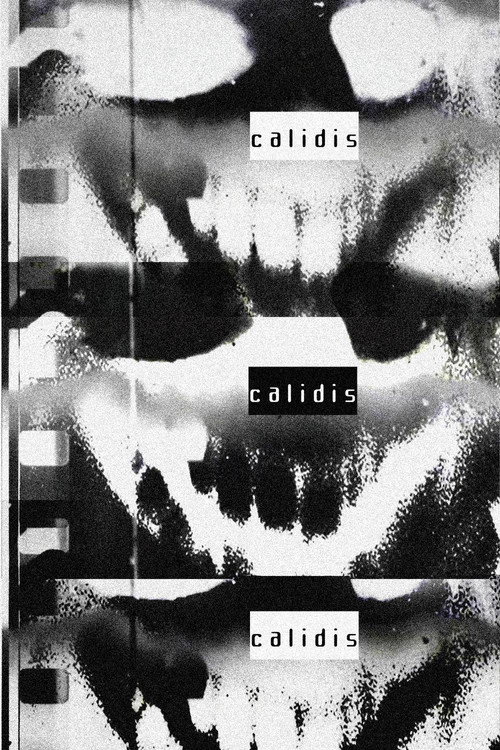 Calidis 포스터
