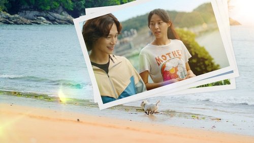 Summer Strike backdrop 3