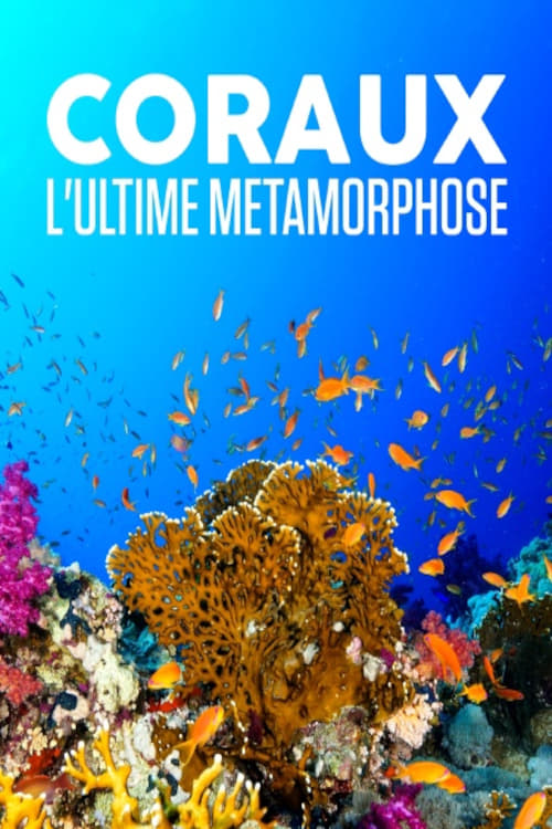 Poster Coraux, l'ultime métamorphose 2019