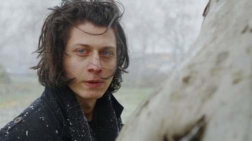 The Leaf Covered in Hoarfrost