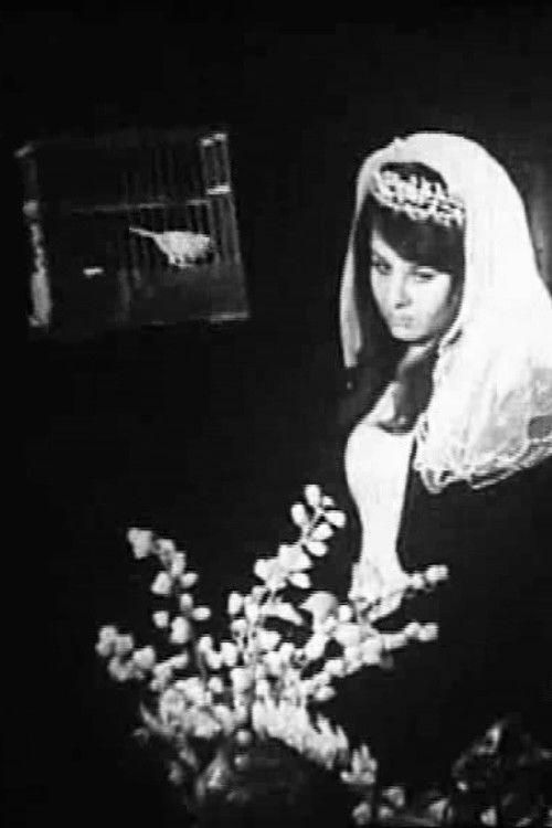 Dolmus Driver poster